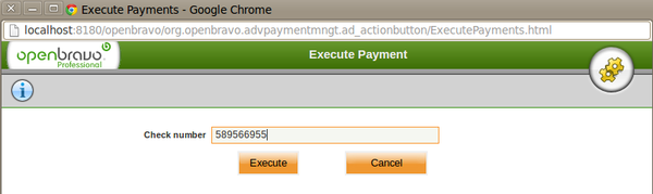 Payment Execution Execute.png